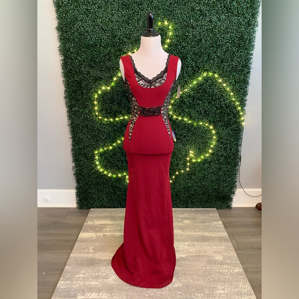 NWT Windsor dress
